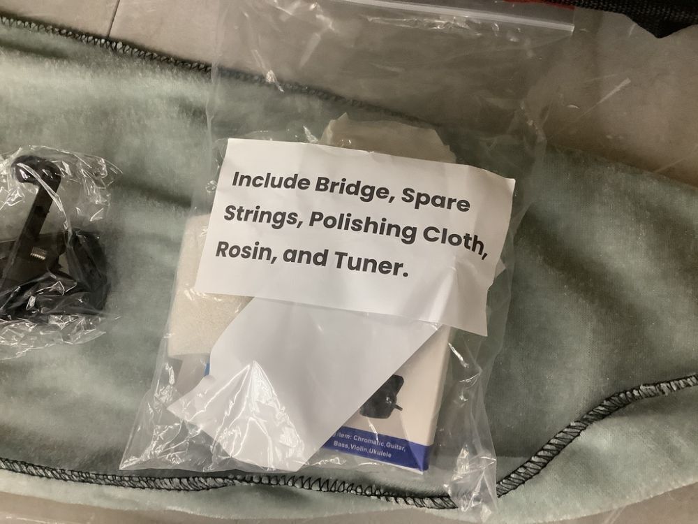 Fesley 4/4 Acoustic Violin with Case - Image 4 - Lot 532