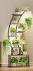 Curved Plant Stand - Thumbnail 1