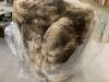 Large Area Rug - Thumbnail 2