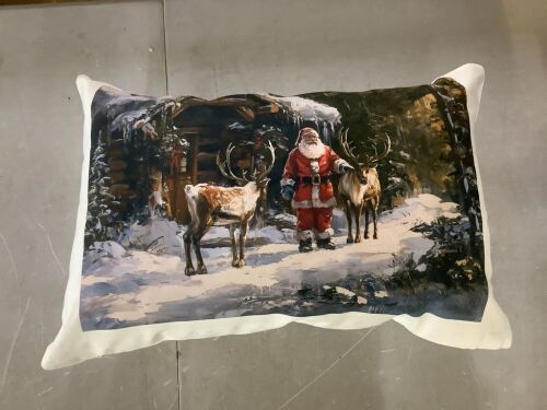 Stupell Industries Traditional Santa by Cabin Outdoor Throw Pillow - Lot 479JF