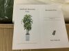 6FT Artificial Dracaena Tree - Thumbnail 4