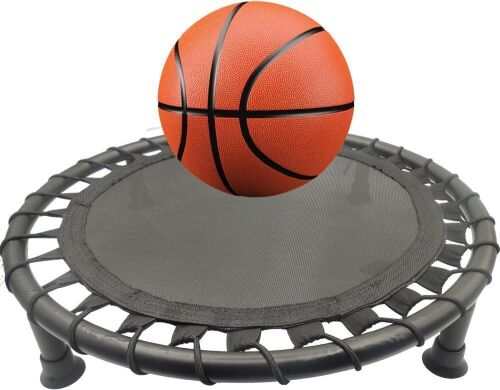Basketball Silent Dribbling Rebound Net - Lot 650