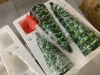 Set of 3 Pre-Lit Ceramic Tabletop Christmas Trees - Thumbnail 3