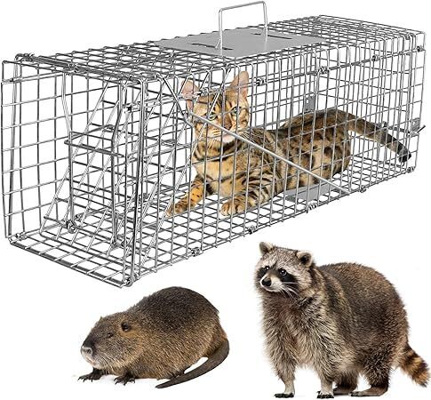 Humane Animal Trap Large Live Cat Cage, Folding Heavy Duty Trap Cage Catch Release - Image 1 - Lot 6689