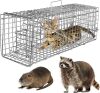 Humane Animal Trap Large Live Cat Cage, Folding Heavy Duty Trap Cage Catch Release - Thumbnail 1