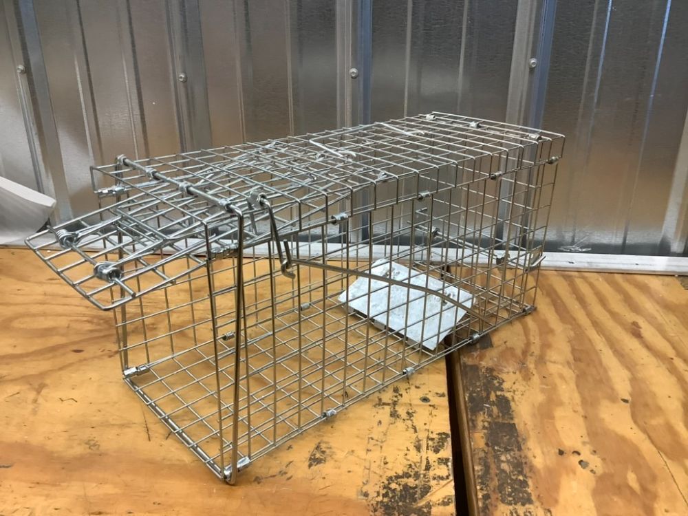 Humane Animal Trap Large Live Cat Cage, Folding Heavy Duty Trap Cage Catch Release - Image 3 - Lot 6689