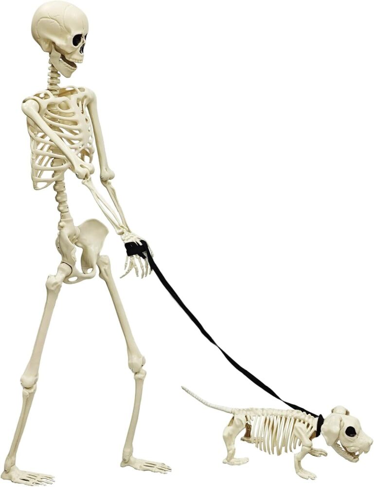 Halloween Skeleton 5.4FT Life Size Human Adult Skeletons with Skeleton Dog Halloween Decorations for Indoor Outdoor Garden Lawn,Haunted House Props, Spooky Scene Party Decor - Image 1 - Lot 8105