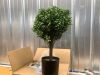 21 Inch Artificial Topiary Boxwood Ball Trees – Decorative Fake Greenery in Planter Pots for Front Porch, Indoor Walkway, Entryway Decorating, Set of 2 - Thumbnail 3