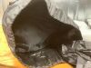 MEREZA Sleeping Bag - Thumbnail 2