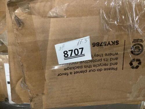 BCP Salvage Pallet - Lot 8707