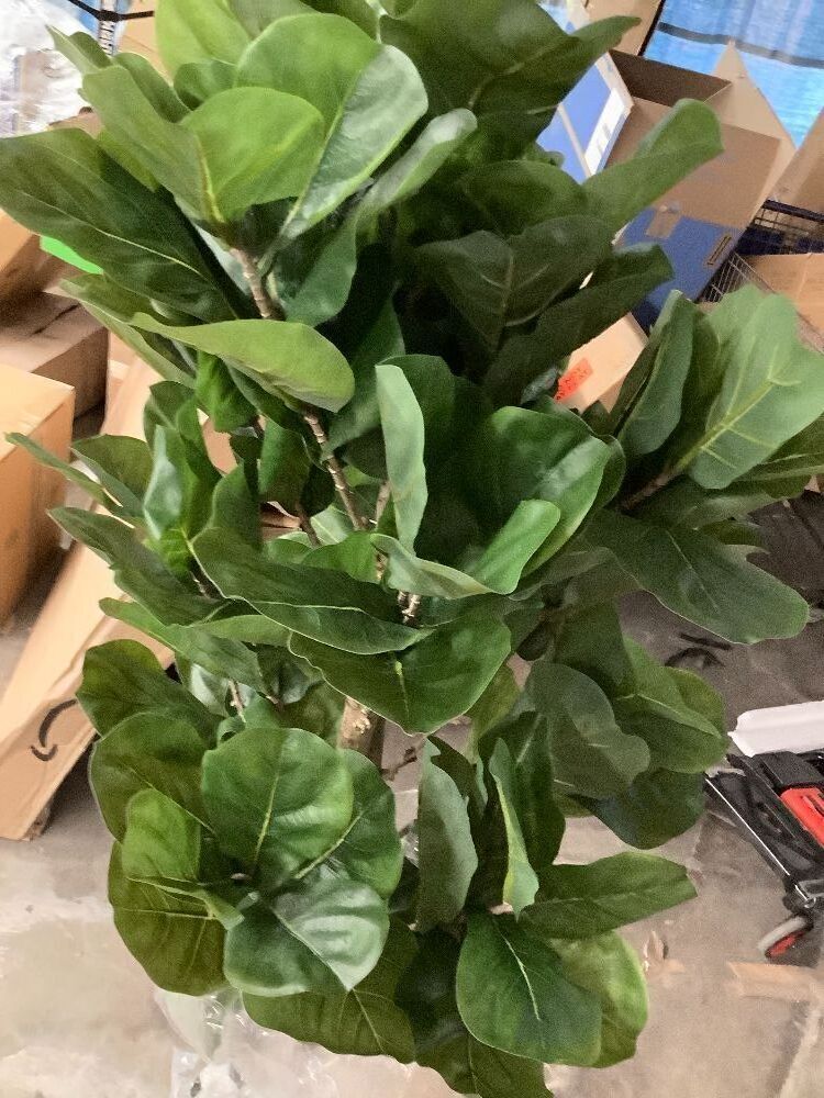 Artificial Fiddle Leaf Fig Tree - Image 2 - Lot 8555