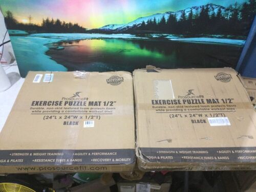 Lot of (2) ProsourceFit Exercise Puzzle Mat .5" Interlocking Foam Tiles, 24" x 24"  - Lot 1027
