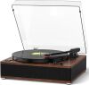 DANFI AUDIO Retro-Style Bluetooth Turntable with Speakers - Thumbnail 1