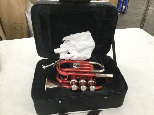 Pocket Trumpet - Paint Peeling on Inside - Lot 522