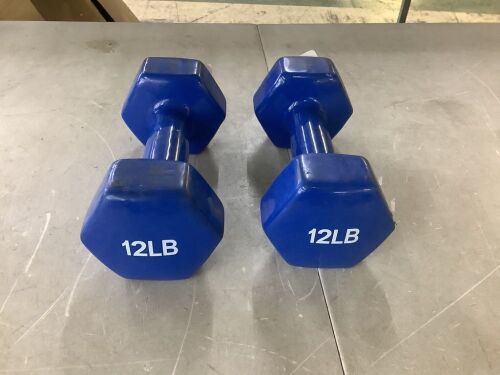 Set of 12lb Dumbbell Weights - Lot 637JF