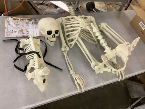 Dog & Human Skeleton Decorations - Lot 241
