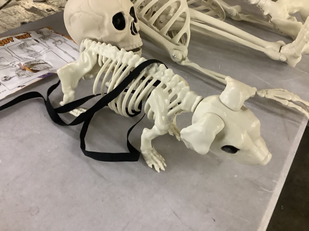 Dog & Human Skeleton Decorations - Image 2 - Lot 241