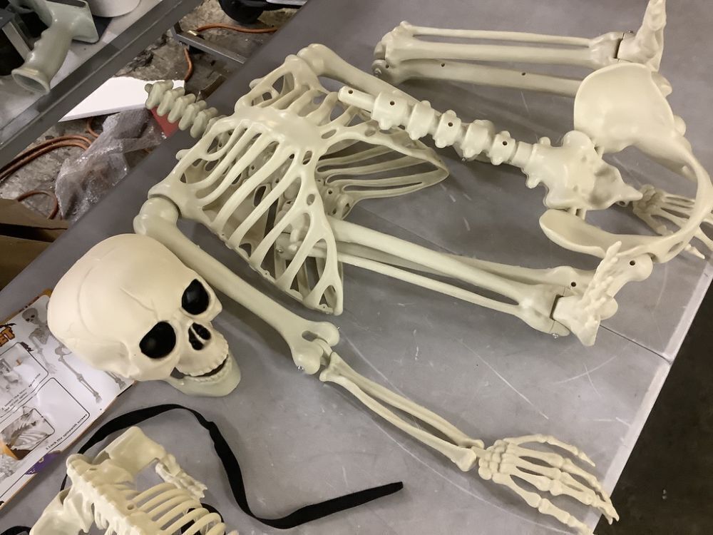 Dog & Human Skeleton Decorations - Image 3 - Lot 241