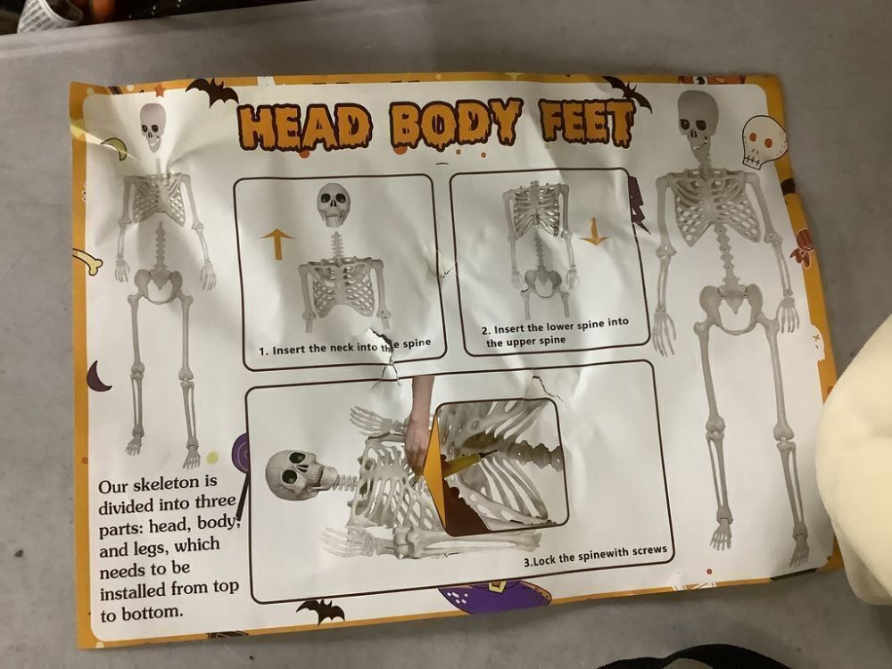 Dog & Human Skeleton Decorations - Image 5 - Lot 241