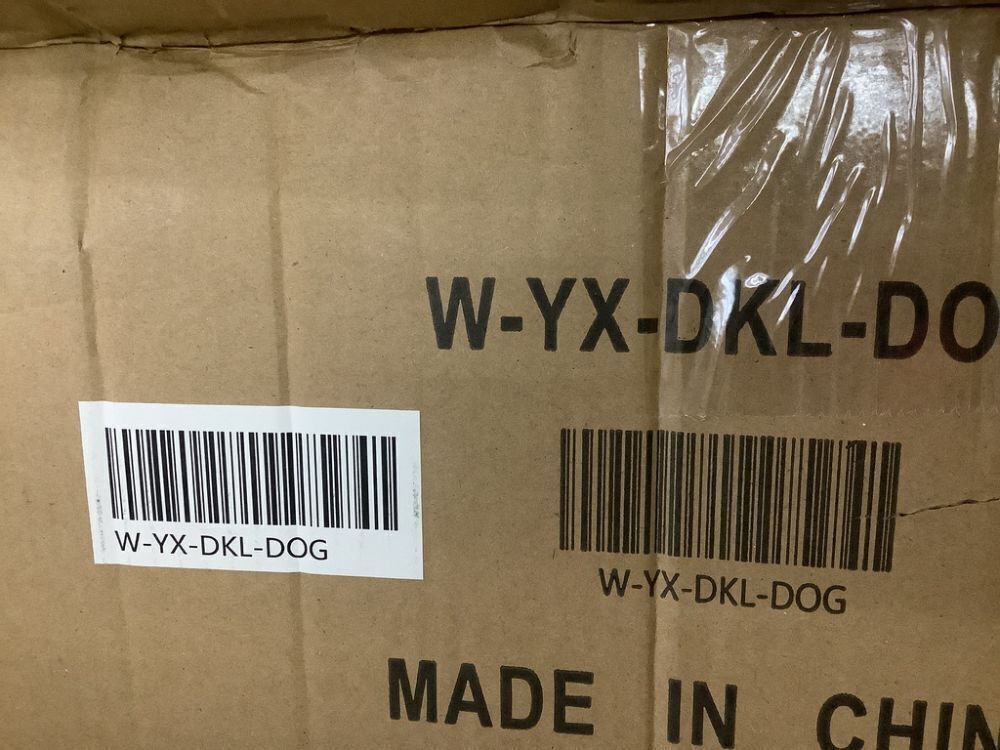 Dog & Human Skeleton Decorations - Image 6 - Lot 241