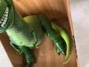 Disney Store Official Rex Interactive Talking Action Figure from Toy Story - Thumbnail 5