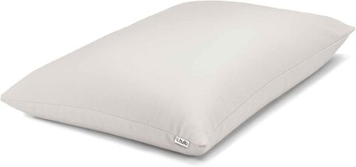 Hullo Buckwheat Pillow 20”x26” - Lot 539