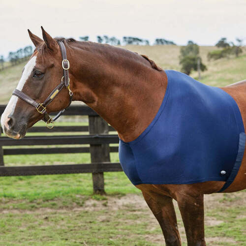 WeatherBeeta Stretch Shoulder Guard for horses - Lot 9020