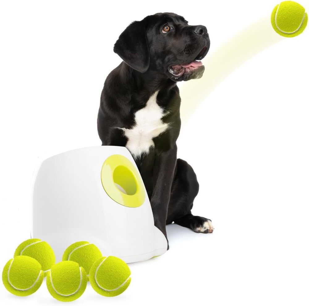 ALL FOR PAWS Automatic Dog Ball Launcher Maxi, Interactive Ball Thrower Dog Toys Includes Tennis Balls for Large Dogs - Image 1 - Lot 9165