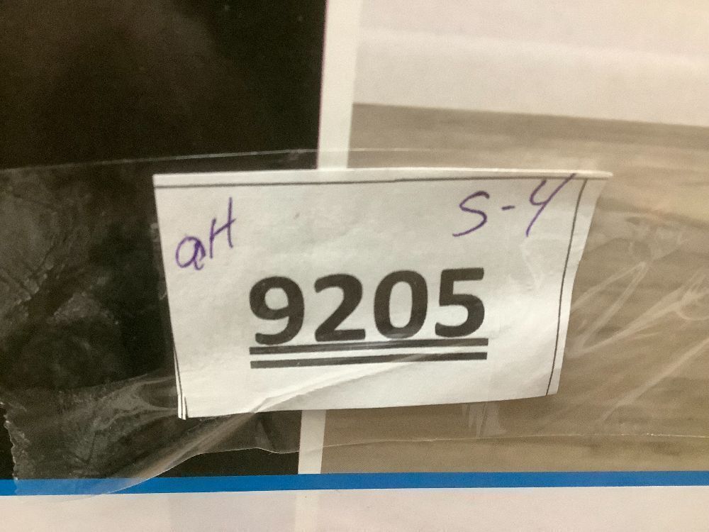 Eureka WhirlWind Bagless Canister 2.5L Vacuum Cleaner, Lightweight Vac for Carpets and Hard Floors, NEN110A, Blue - Image 2 - Lot 9205