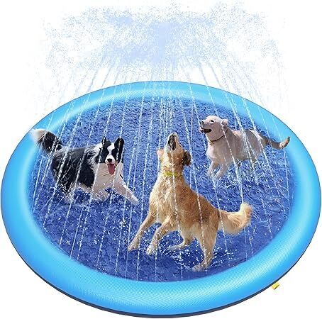 Sprinkler Splash Pet Pool - Image 1 - Lot 9065