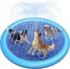 Sprinkler Splash Pet Pool - Thumbnail 1