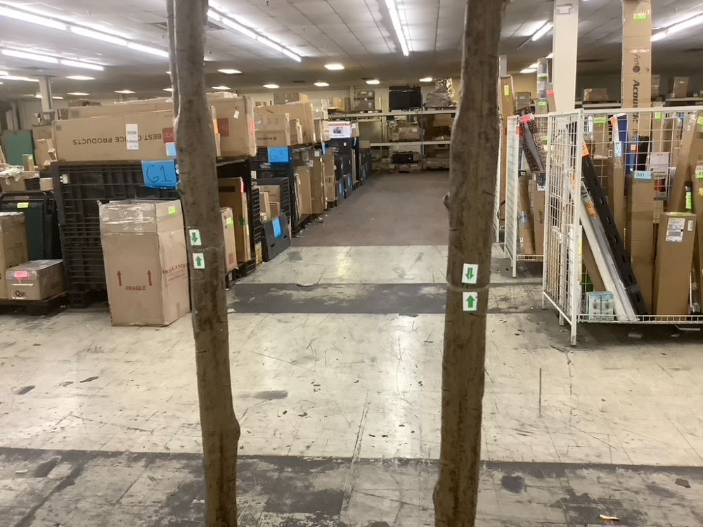 5.5' Artificial Tree, Set of 2 - Image 3 - Lot 774