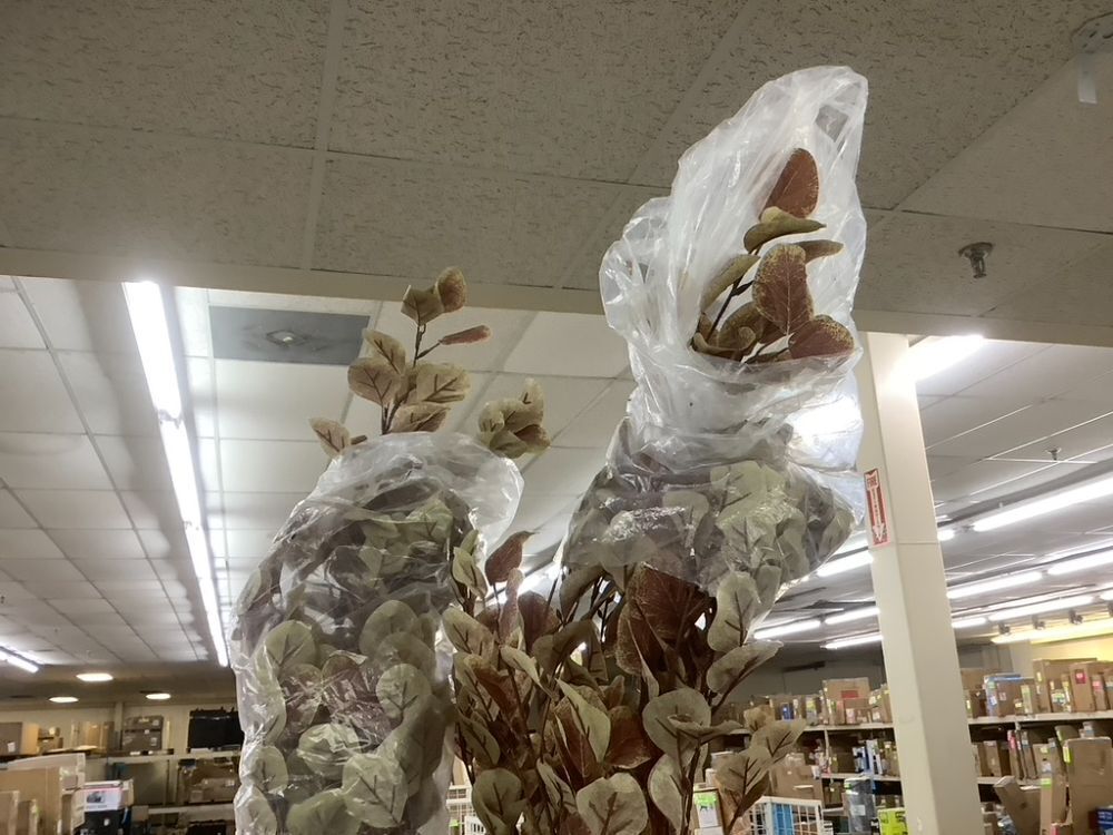 5.5' Artificial Tree, Set of 2 - Image 5 - Lot 774