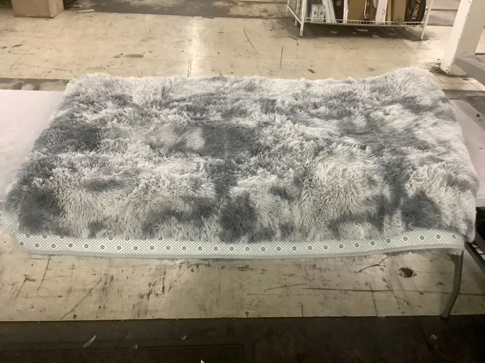 Plush Area Rug, 6' x 9' - Image 1 - Lot 288