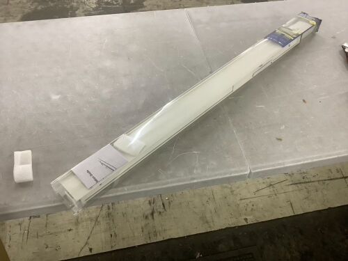 White Roller Shades - Lot 481