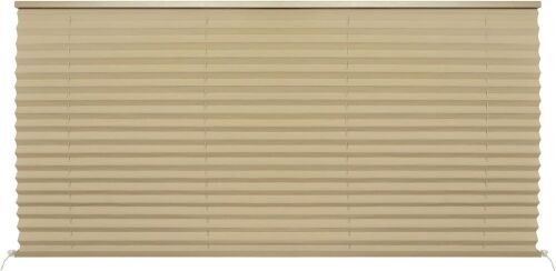 RV Shades, 50" x 24" - Lot 584