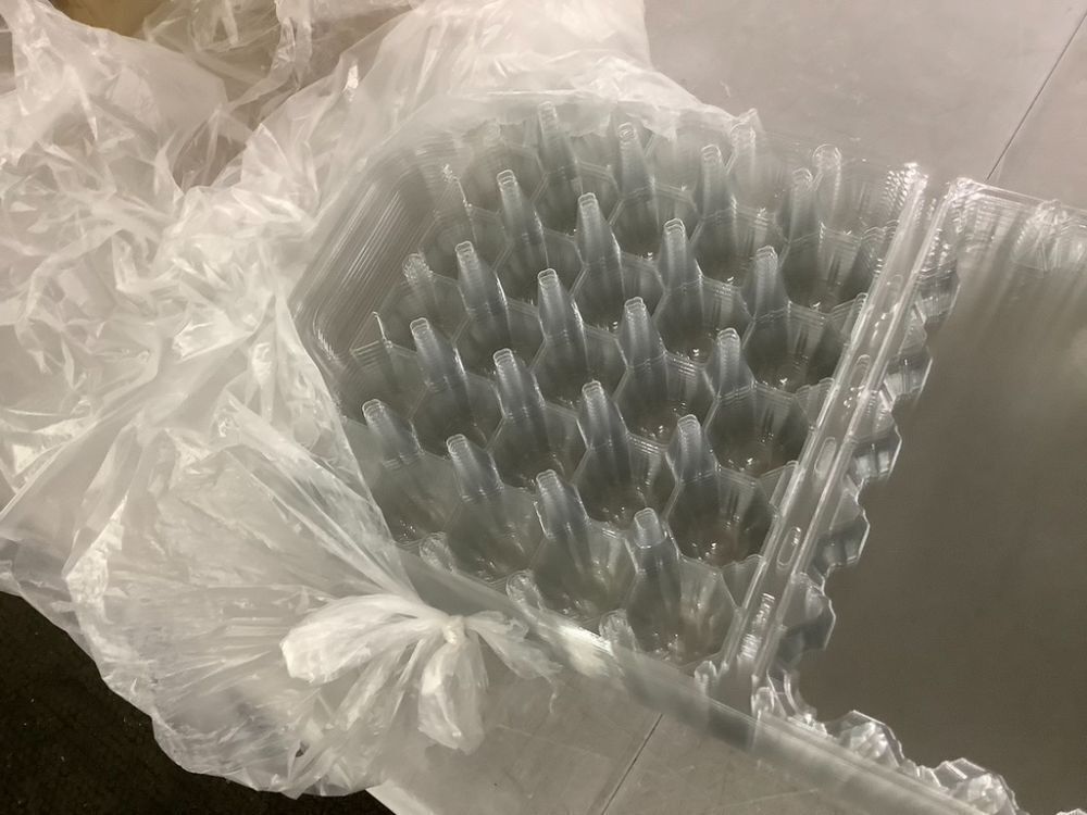 Portable Transparent Egg Cartons, 30 pc - Image 5 - Lot 503