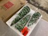 Set of 3 Pre-Lit Ceramic Tabletop Christmas Trees - Thumbnail 4