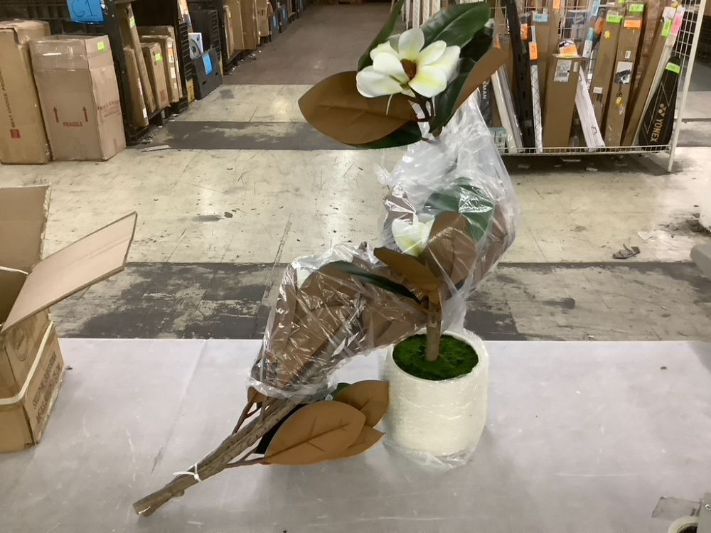 6' Artificial Rubber Tree in White Pot - Image 2 - Lot 346