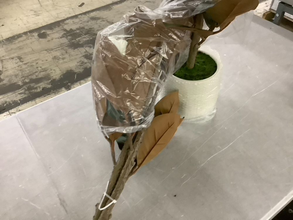 6' Artificial Rubber Tree in White Pot - Image 3 - Lot 346