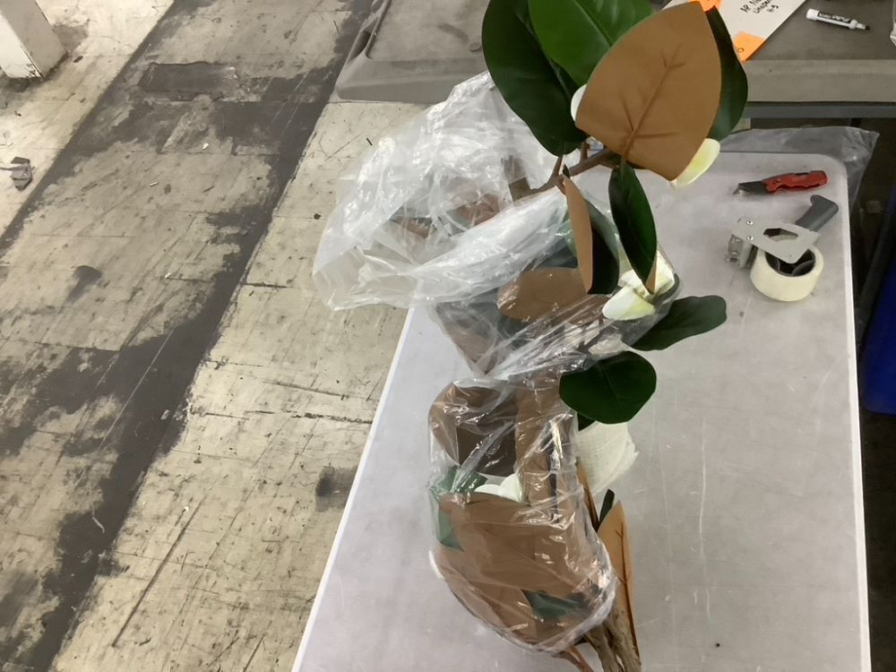 6' Artificial Rubber Tree in White Pot - Image 4 - Lot 346