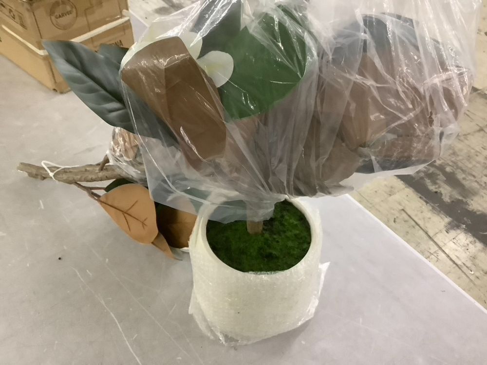 6' Artificial Rubber Tree in White Pot - Image 5 - Lot 346