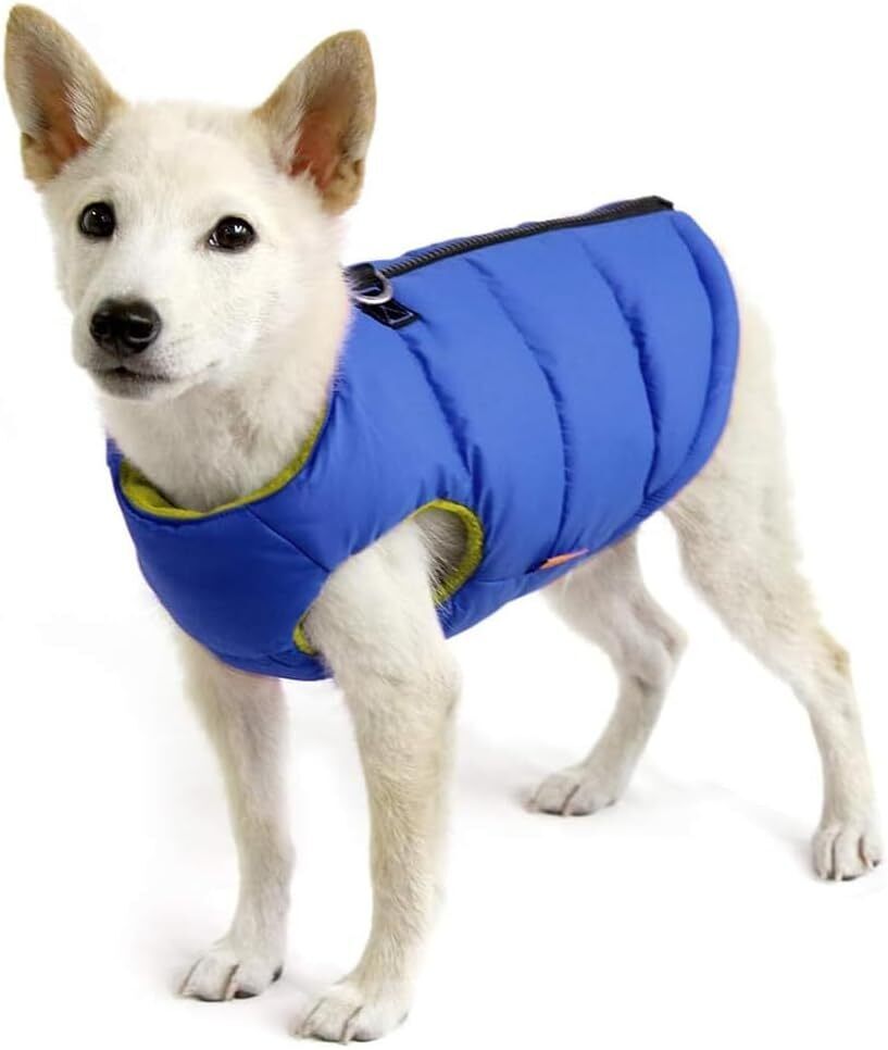 Gooby Padded Vest Dog Jacket - Solid Blue, Medium - Warm Zip Up Vest Fleece Jacket with Dual D Ring Leash Water Resistant for Small to Medium Dogs - Image 1 - Lot 9037