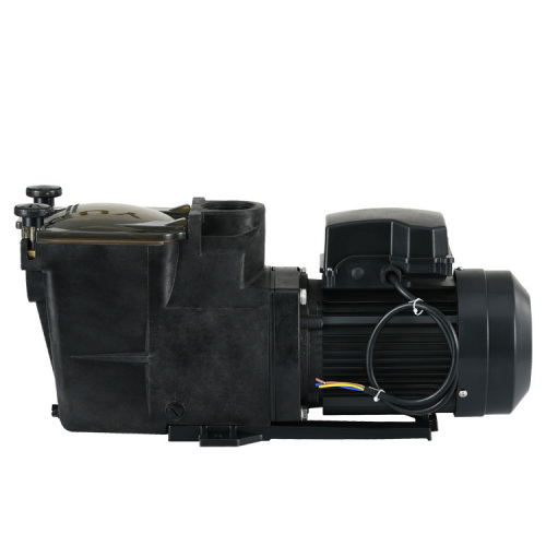 SP Series Water Pump with Durable Plastic Large Debris Basket Reduced Cleaning Frequency Filter - Lot 9282