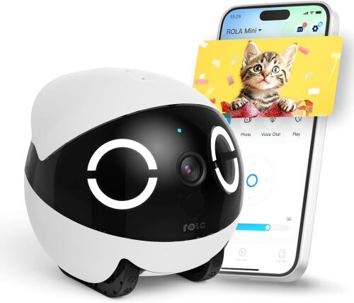 Enabot EBO ROLA Mini FamilyBot 2K Pet Camera Robot: Movable Indoor Camera Battery-Powered with Phone App, One-Touch Call, 2-Way Talk, Night Vision, Motion Detection, Video Recording - Lot 9249