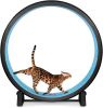 One Fast Cat Exercise Wheel - Thumbnail 1