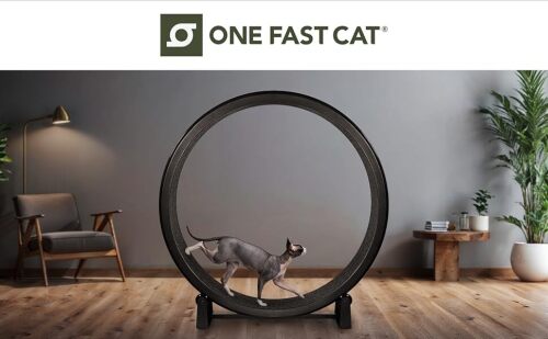 One Fast Cat Exercise Wheel - Lot 9294