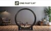 One Fast Cat Exercise Wheel - Thumbnail 1