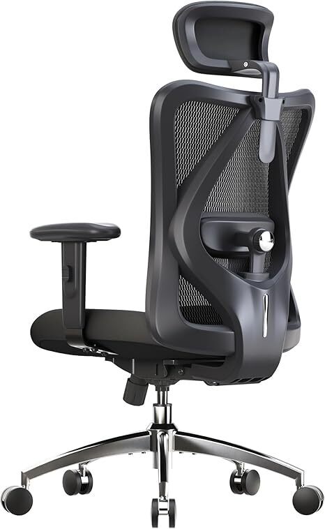SIHOO Ergonomic Office Chair - Image 1 - Lot 9374