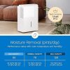 hOmeLabs 50 Pint Wi-Fi Dehumidifier for up to 7,000 Sq Ft Rooms (MAX 120 Pint at 95°F, 90% RH) – Powerful Humidity Control for Large Rooms and Basements - Thumbnail 1